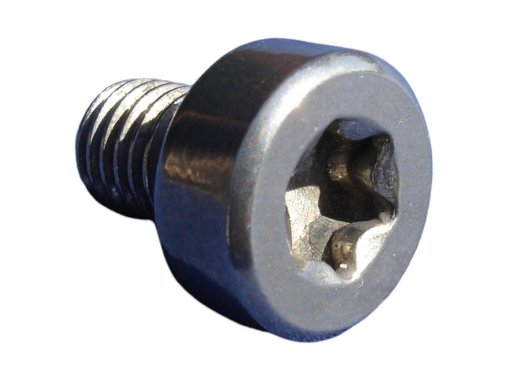 10765 zierschraube m7x10 edelstahl torx t40 13mm kopf