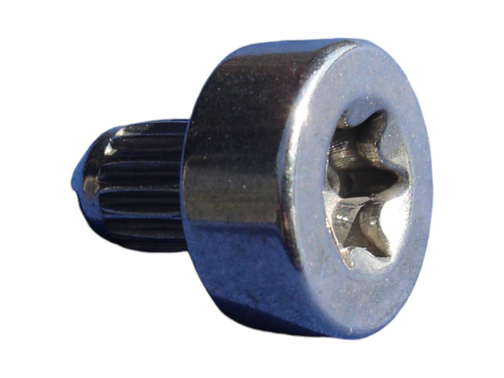 10767 zierstopfen d6x10 edelstahl innenvielzahn torxt40