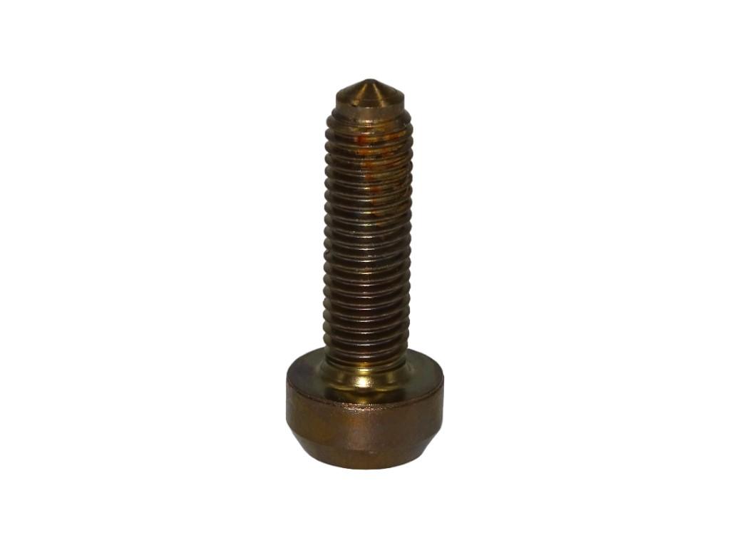 10947 brgo felgenschraube m7x24 5 titan bronze gold 4