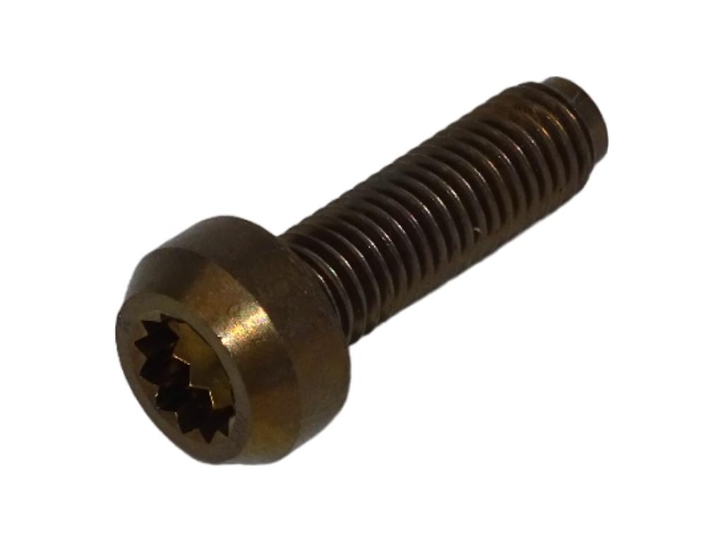 10947 brgo felgenschraube m7x24 5 titan bronze gold 1